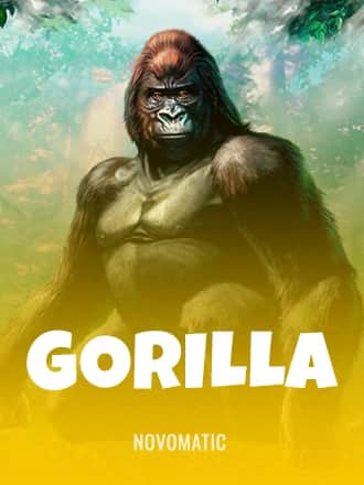 Gorilla